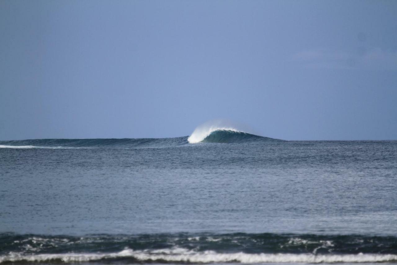 Oseda Nias Surf House Otel Hilibotodane Dış mekan fotoğraf