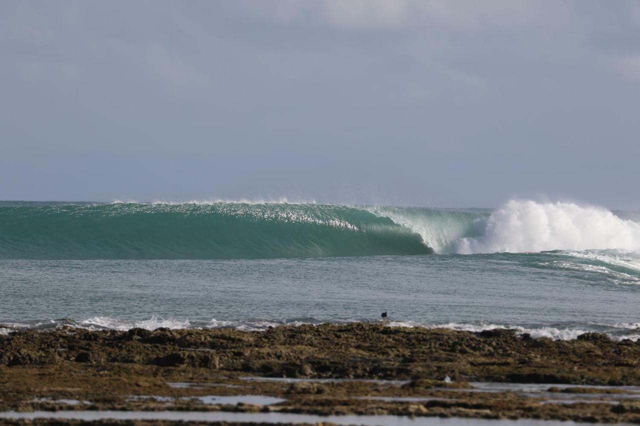 Oseda Nias Surf House Otel Hilibotodane Dış mekan fotoğraf