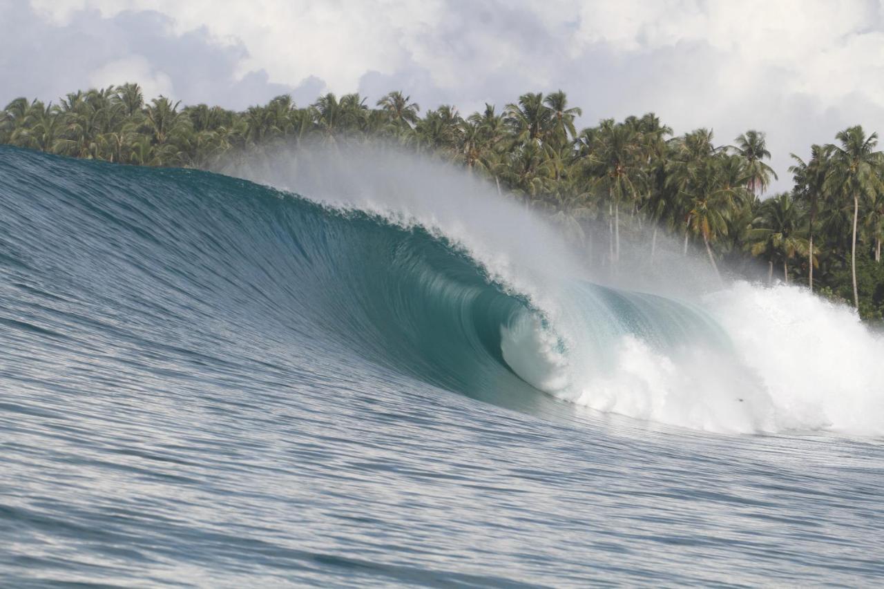 Oseda Nias Surf House Otel Hilibotodane Dış mekan fotoğraf