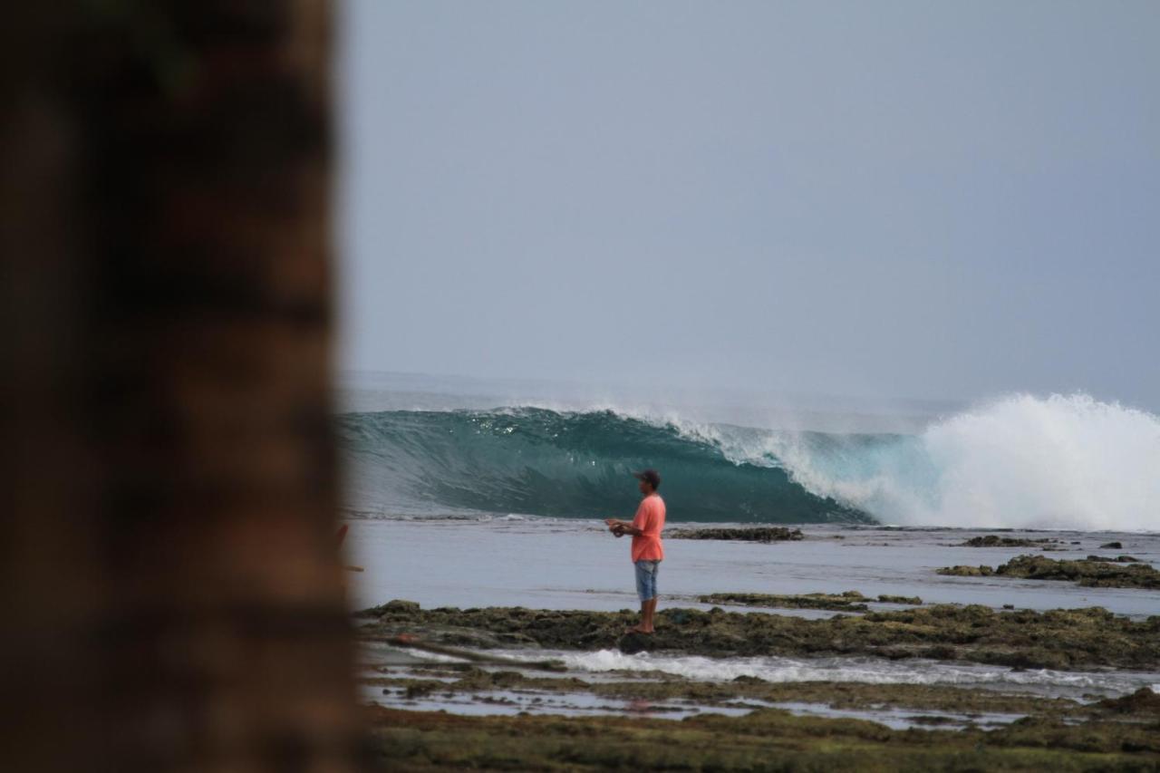 Oseda Nias Surf House Otel Hilibotodane Dış mekan fotoğraf